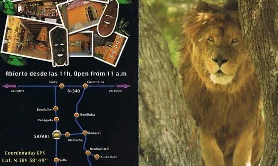 شقة Chameleon Beachfront Ibiza Style *